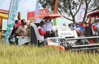 Pemprov Lampung Panen Padi Seluas 110 hektar di Kabupaten Tulang Bawang