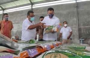 Sergai Berpotensi Menjadi Lumbung Padi dan Swasembada Pangan di Sumut