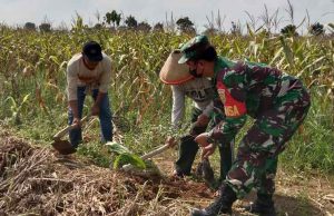 Kasiter Kasrem 043/Gatam Kol Kav Thomas Rudianto,S.H. Pimpin Penanaman Pohon Dalam Rangka Pembinaan Lingkungan Hidup Ta 2021