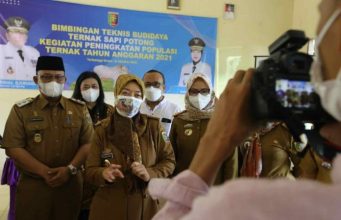 Wagub Chusnunia Chalim Buka Bimtek Budidaya Ternak Sapi Potong