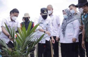 Bupati Way Kanan Melakukan Penanaman Perdana Program PSR Kelapa Sawit