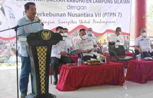 PTPN VII Siap Bersinergi Dukung Pembangunan Lamsel