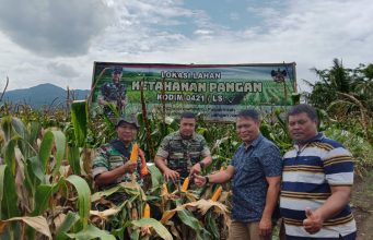 Danramil 421- 03/Panengahan Mengecek Lahan Ketahanan Pangan Kodim 0421/LS