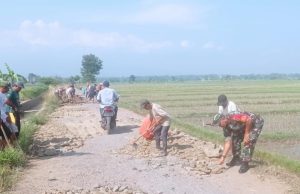 Peduli Keselamatan, Babinsa Kodim 0421/Ls Bersama Masyarakat Timbun Jalan Berlubang