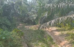 Diduga Telan Anggaran Ratusan Juta Lebih Uang Negara, Pembukaan Badan Jalan Tahun 2021 Tak Bermanfaat