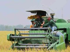 Danrem 043/Gatam Panen Raya Bersama Bupati Lamteng dan Forkopimda Kabupaten Lampung Tengah