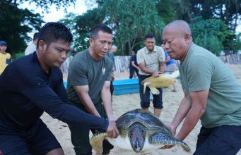 Pangdam II/Swj Didampingi Danrem 043/Gatam Lepas Kembali 7 Ekor Penyu Kehabitatnya