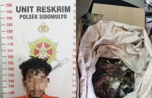 Curi Kabel Tembaga, 1 Tersangka Diboyong Ke Polsek Sidomulyo