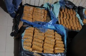 Tertangkap Di Pelabuhan Bakauheni, Polda Lampung Amankan 150 Kg Ganja Asal Padang