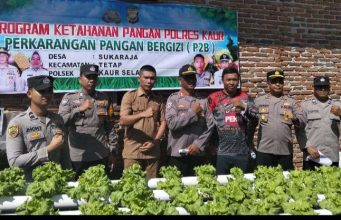 Perkarangan Pangan Bergizi (P2B) Tim Polres Kaur Gelar Kegiatan Penilaian dan Penelitian