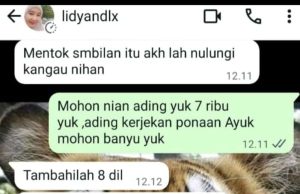 Diduga Oknum Wartawan Peras Kades Tanjung Agung, Berikut Penjelasannya