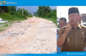 Klarifikasi Pemdes Haduyang: Akses Utama Dusun Puloraya Sudah Layak, Bukan Jalan Tanah Gunung Branti
