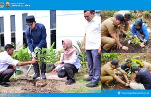 5.792 PPPK Paruh Waktu Lampung Selatan Tanam Pohon Serentak, Kampanye “Pohon Asuh” Gaungkan Gerakan Hijau dari Birokrasi