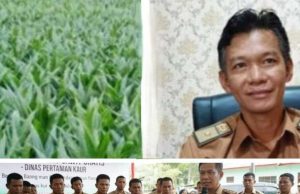 Menuju Kaur Sejahtera dan Maju, Kadis Pertanian Kaur Bagikan Bibit Sawit Gratis kepada Masyarakat