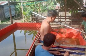 Ketahanan Pangan Desa Tanjung Dalam Bangun Kolam untuk Budidaya Ikan Lele