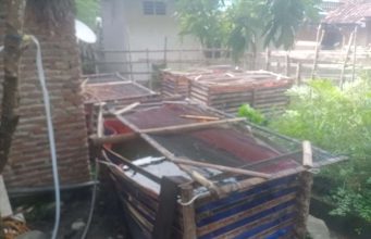 Budidaya Ikan Lele, Langkah Cerdas Ketahanan Pangan Desa Tanjung Dalam