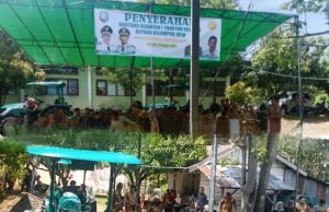 Bupati Kaur Gusril Pausi Serahkan Empat Unit Alsintan kepada Kelompok Tani