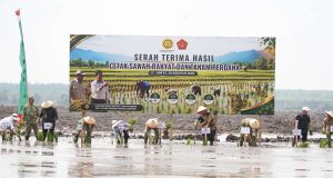 Tanam Perdana di Tulang Bawang, Danrem 043/Gatam Tegaskan Komitmen Swasembada Pangan