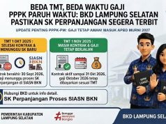 Beda Waktu Gaji PPPK Paruh Waktu, BKD Lampung Selatan Pastikan SK Perpanjangan Segera Terbit